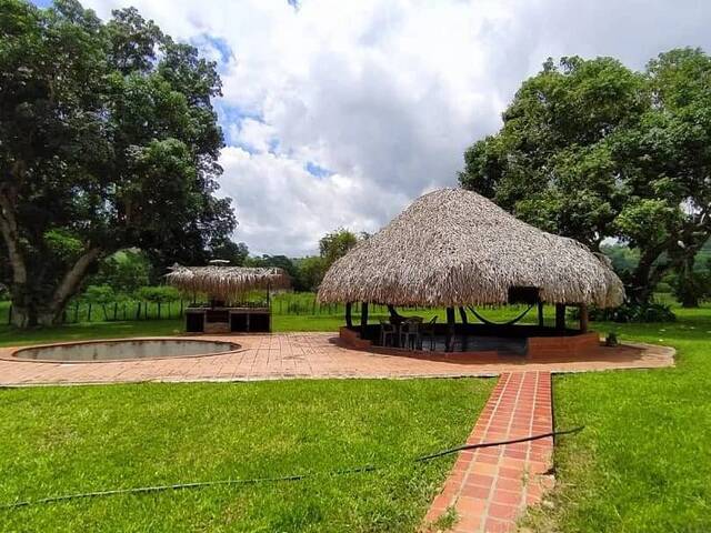 #69 - Granja  Finca para Venta en Valencia - G - 3