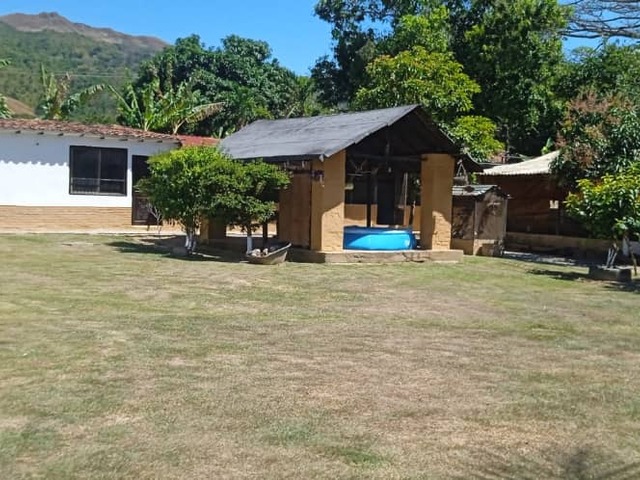  en  - 