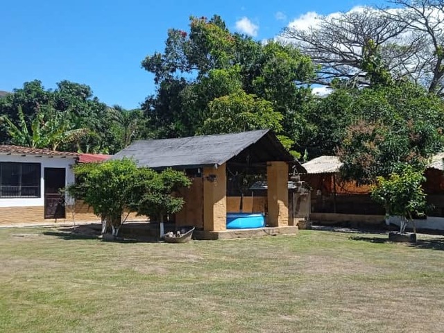 #94 - Granja  Finca para Venta en Valencia - G - 2