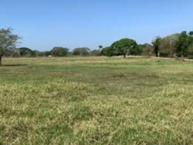 #176 - Granja  Finca para Venta en Valencia - G - 3
