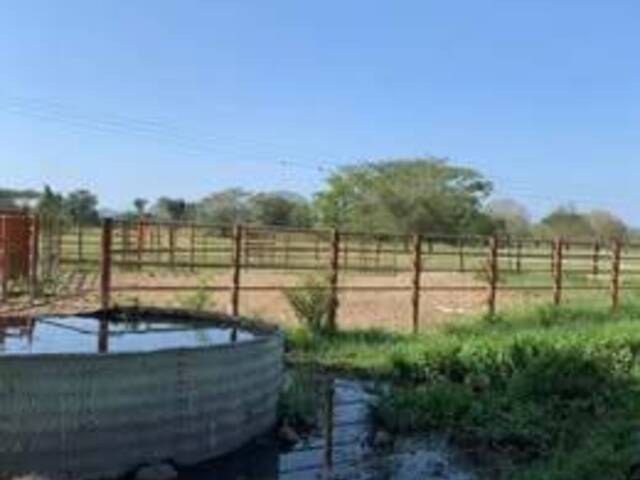 #176 - Granja  Finca para Venta en Valencia - G - 1