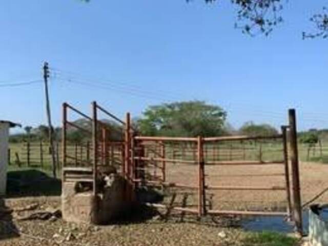 #176 - Granja  Finca para Venta en Valencia - G - 2