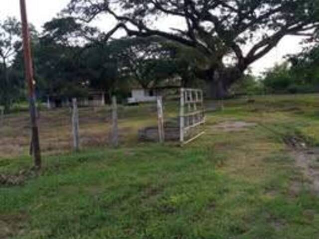 #177 - Área para Venta en Cojedes - H