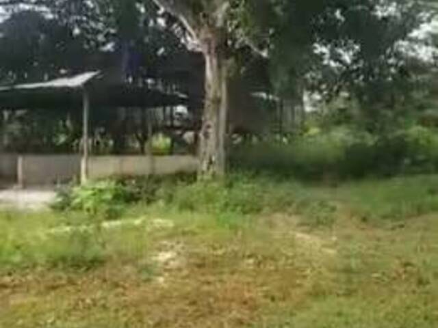 #177 - Área para Venta en Cojedes - H - 2