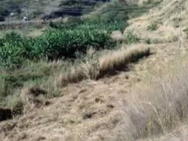 #179 - Terreno para Venta en Cagua - D - 2
