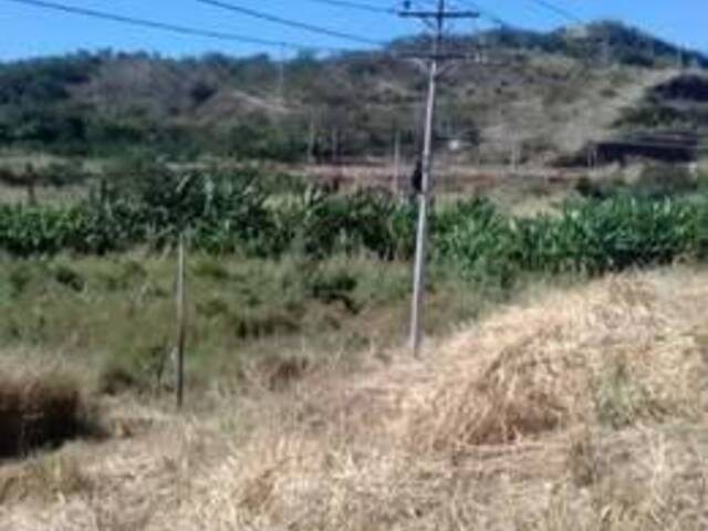 #179 - Terreno para Venta en Cagua - D - 1