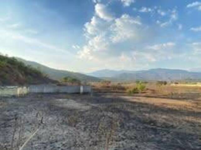 #183 - Terreno para Venta en Valencia - G - 2