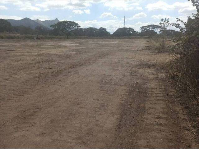 #186 - Área para Venta en Valencia - G - 1