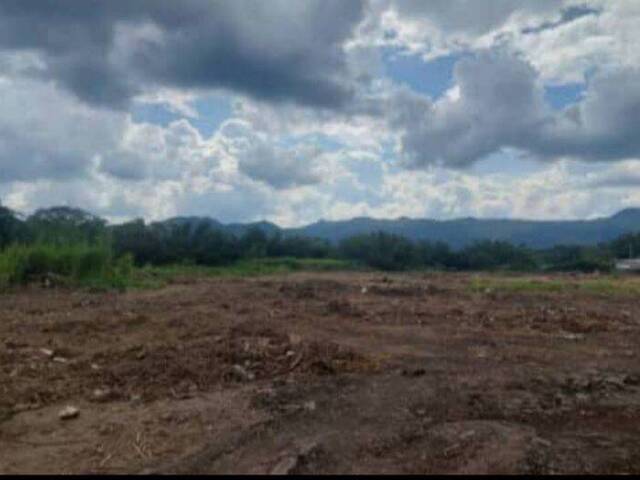 #187 - Terreno para Venta en Valencia - G - 2
