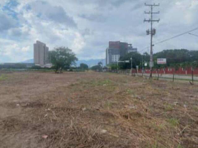 #187 - Terreno para Venta en Valencia - G - 3