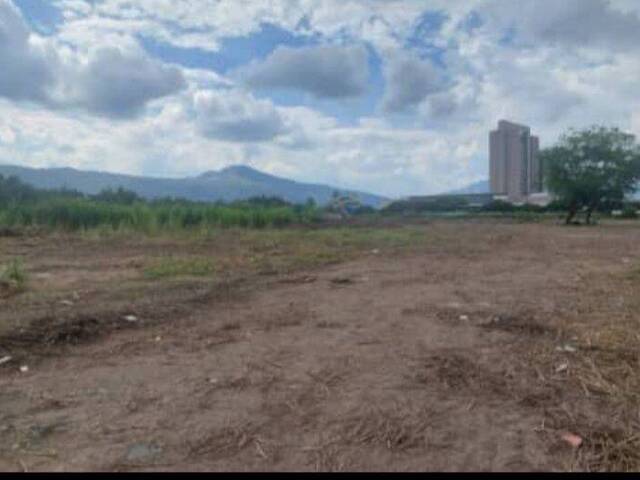 #187 - Terreno para Venta en Valencia - G